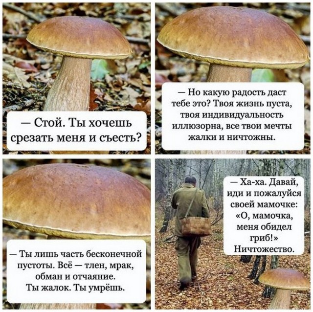 Юмор в картинках 24.08.21