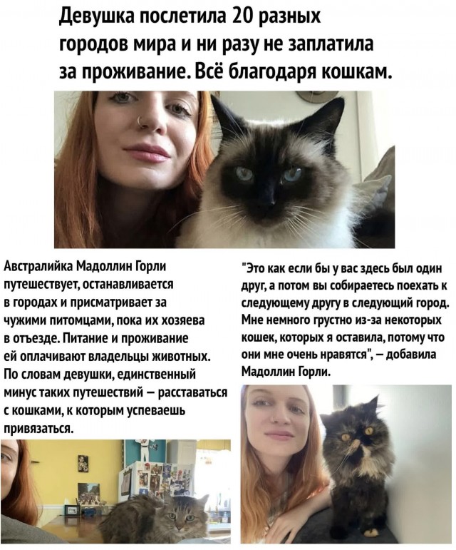 Юмор и прикольные картинки 11.10.2021