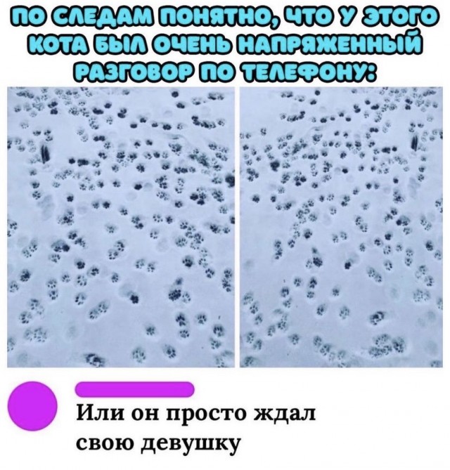 Картинки и мемы для настроения 19.10.2021