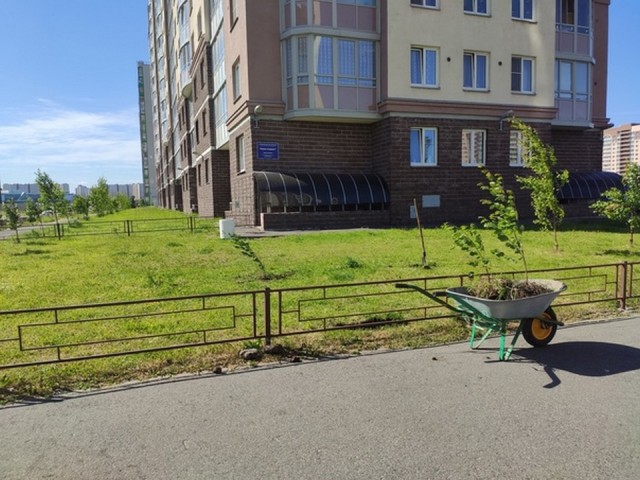 Свежая зелень