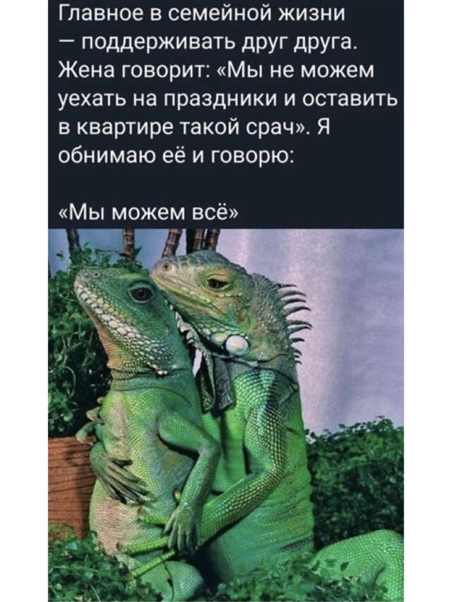 Так себе картинки 13.11.21