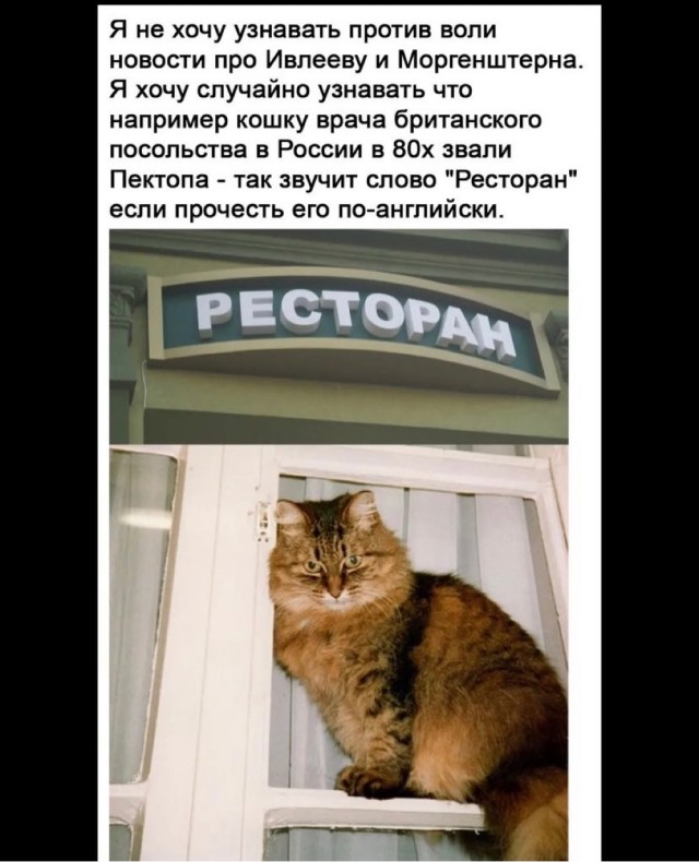 Картинки и мемы, всем прекрасных выходных