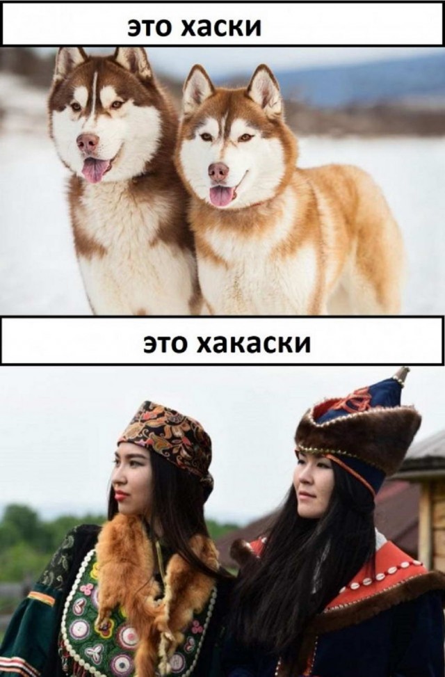 40 "клубничных" картинок 21.01.2022