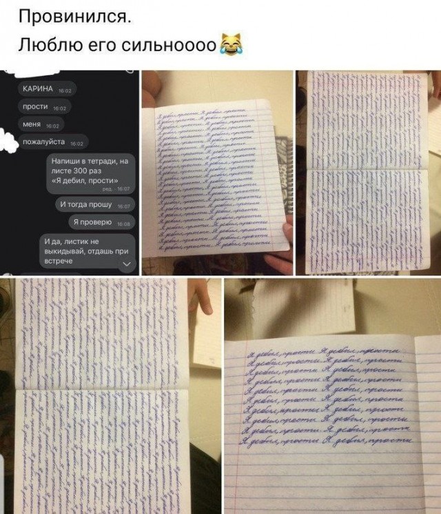 Наши любимки такие смешные