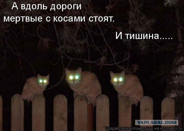 В Минобороны РФ опровергли заявления офиса Зеленского о «массовых убийствах» в Буче
