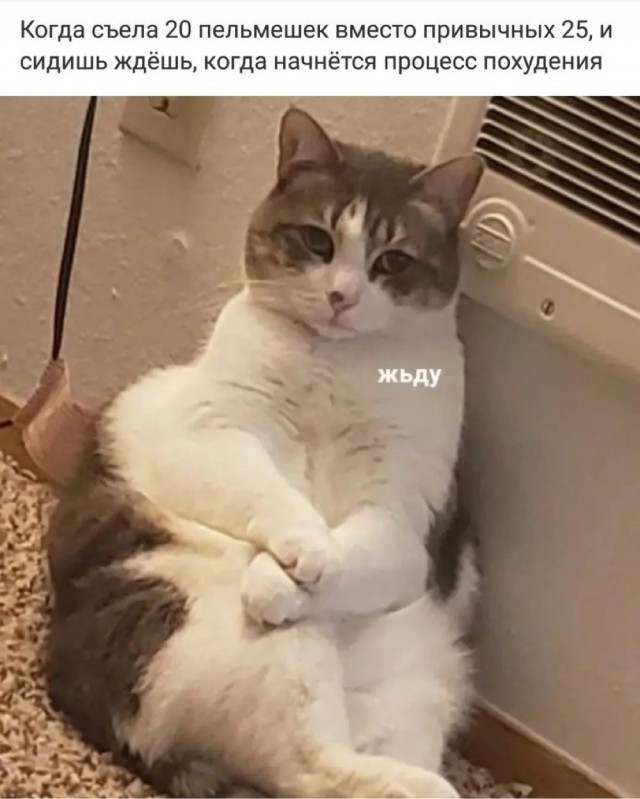 Разные картинки