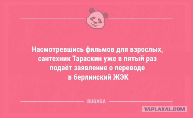 Так себе картинки 22.09.22