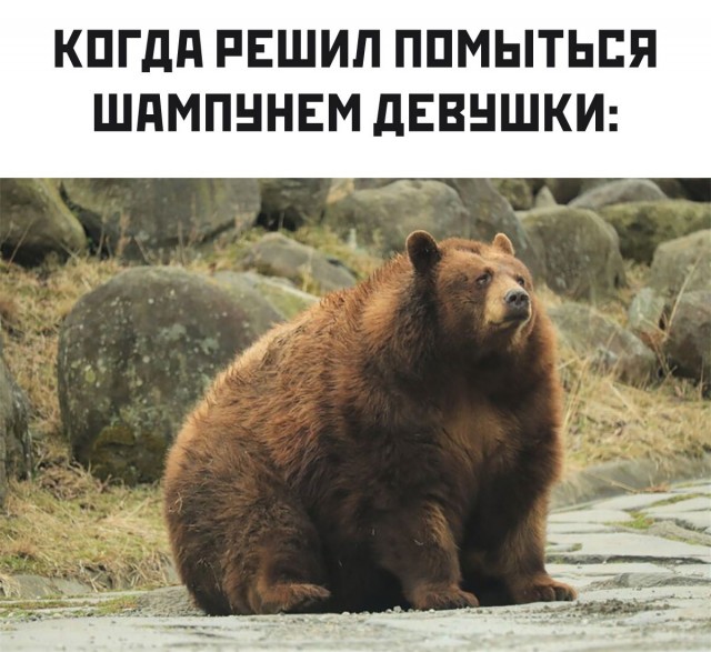 Народная меДИЧина 11.08
