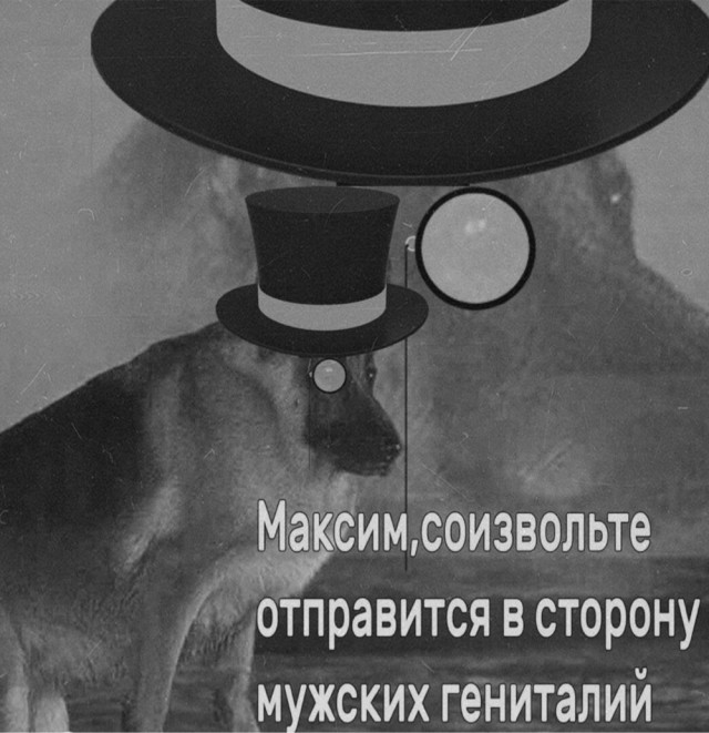 Разнообразного характера мемы