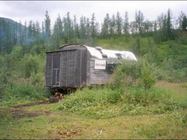 Тайга: страшные истории. Часть 3