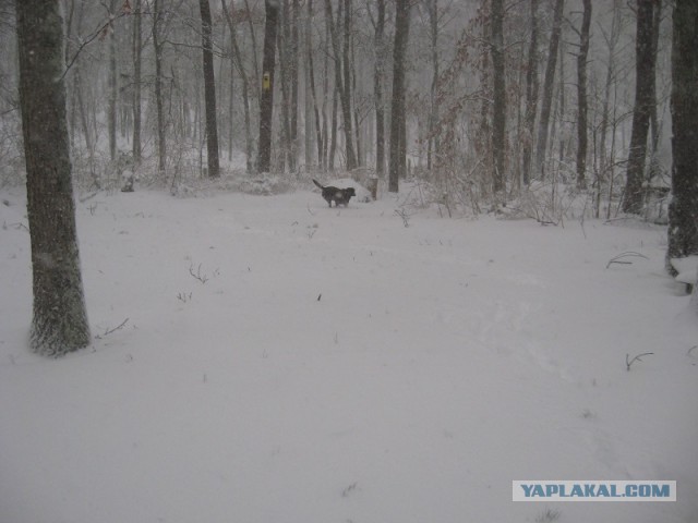 Деревенская Америка