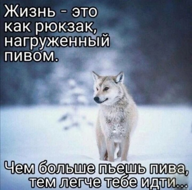 Не смешные глупые картинки