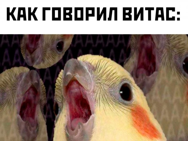 Картинки разнообразные