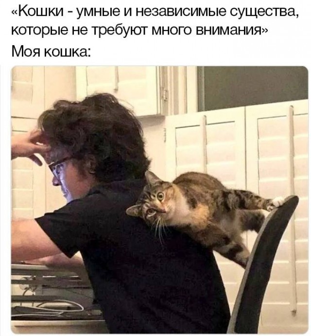 Картинки и мемы для настроения - 187