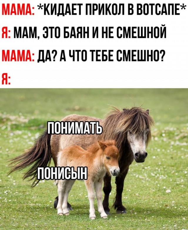 Девятая подборка самых баянистых баянов! Ностальгируем...