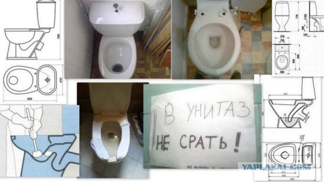 Девочки не портят воздух