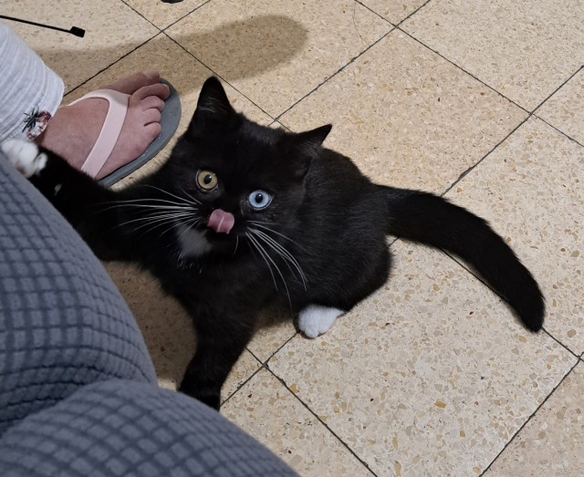Которабство