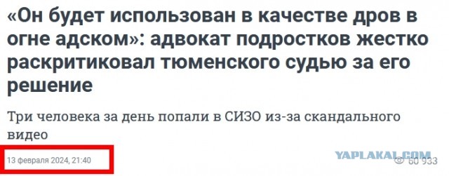 Тюменский адвокат пригрозил адом для судьи за арест подростков