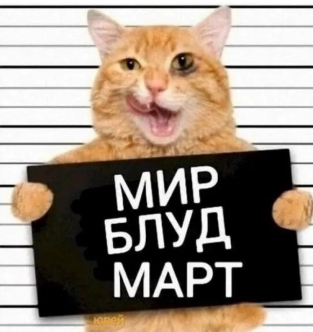 Весёлый полтишок 04.03.24