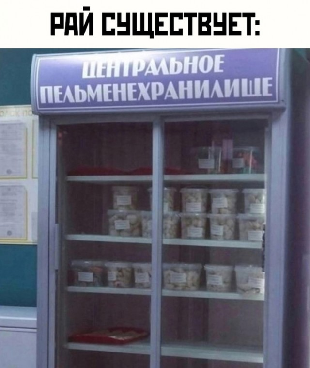Весёлый полтишок 08.04.24