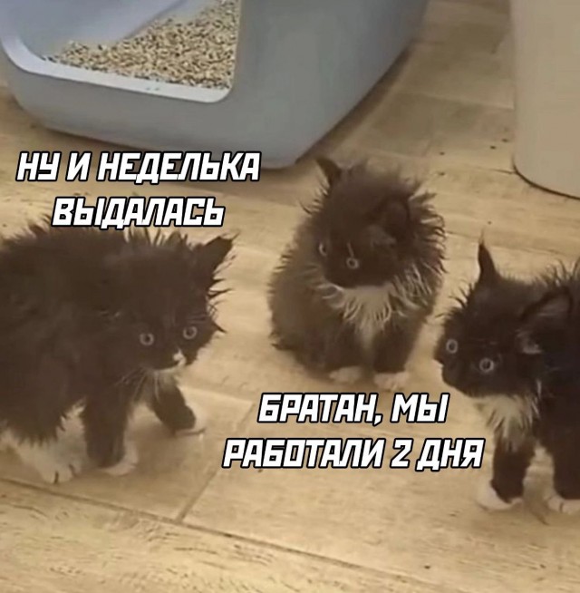 Так себе картинки 04.05.24