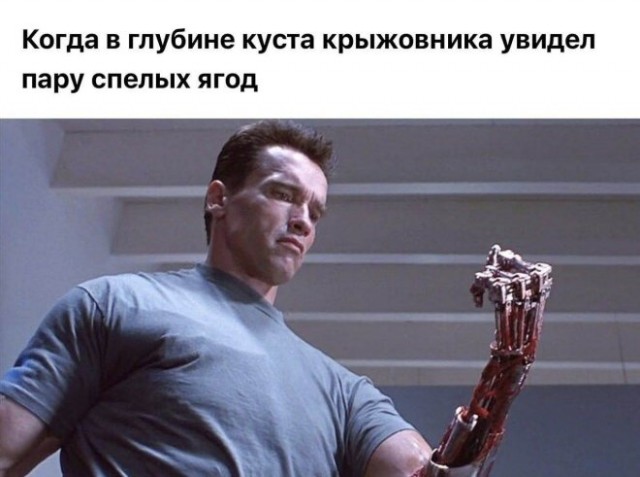 Веселые картинки к маленькой пятнице (31.06)