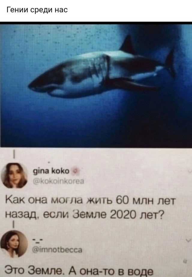Веселые картинки к пятнице (29.11)