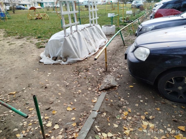 Клумба во дворе, 2024, осень