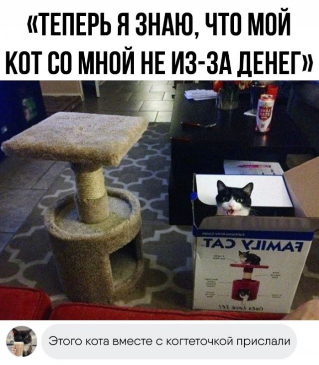 Так себе картинки 10.12.24