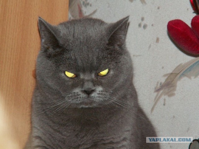 Воплощение зла