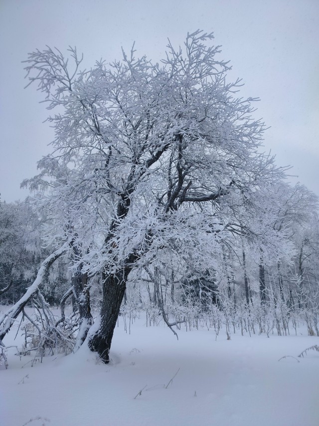 Новый год в Уральских горах.