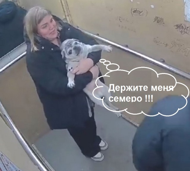Суета в лифте