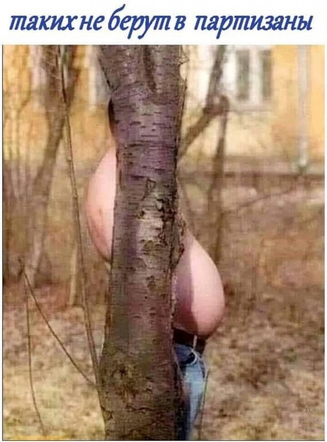 Гнездо параноика (Бояны)