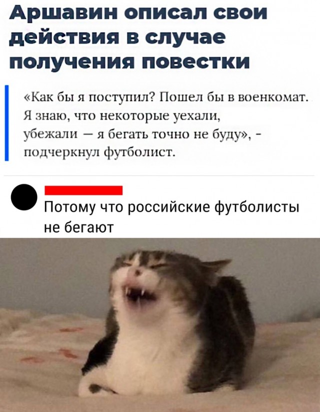 Так себе картинки   "Финал"