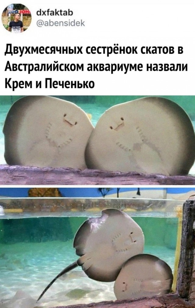 Так себе картинки 28.05.25