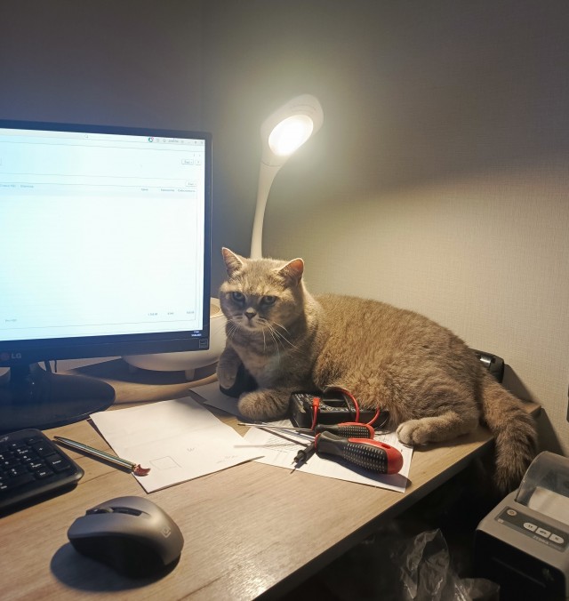 Котолампово...