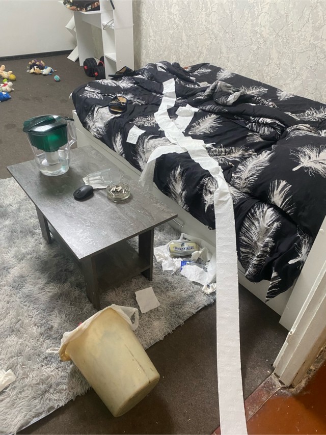 Заведи собаку говорили они
