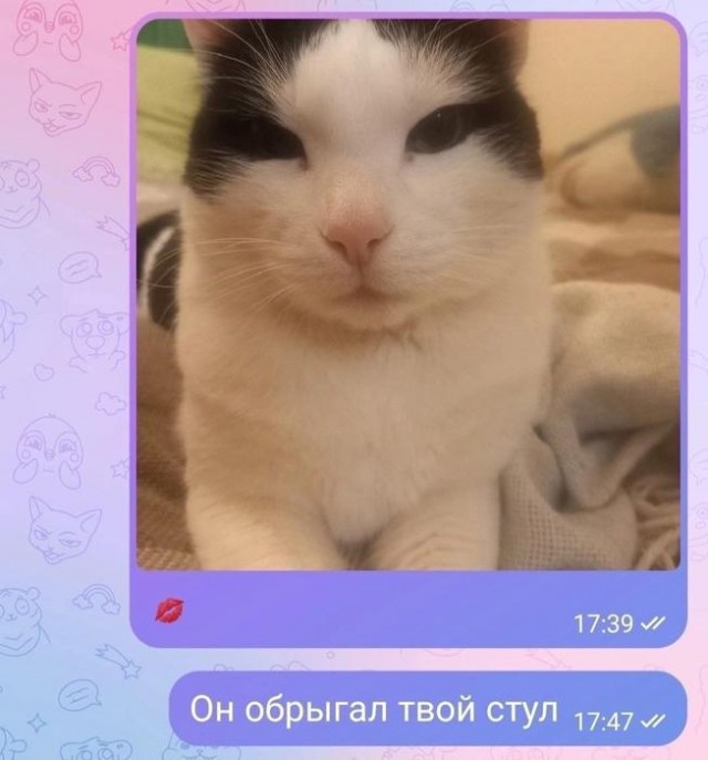 Картинки для деградации 64 (разной степени свежести)