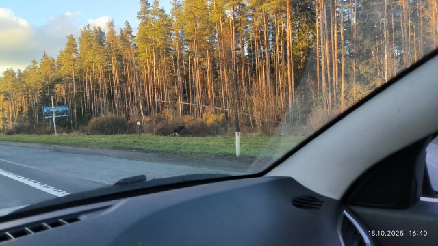 Брутальный внедорожник GMC Hummer EV продают со скидкой в 40 тыс. долларов. Цена с учетом скидки около 100 тыс. долларов