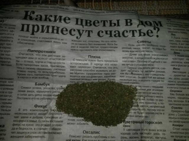 Прикольные и просто красивые картинки 17.11.2025
