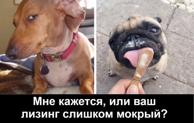 Фальшивый пилот работал командиром воздушного судна в авиакомпании в Литве в течении длительного времени. Пилота уволили