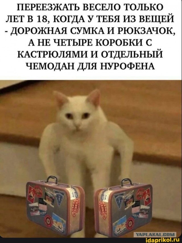 Субботние картинки