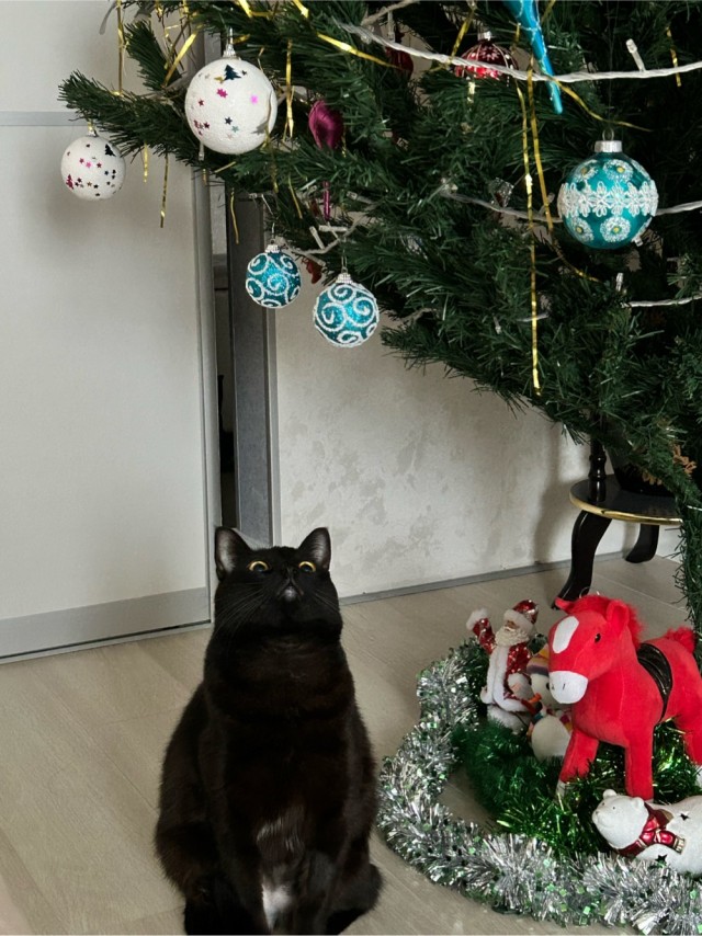 Не забывайте прогревать жизненно важные органы!