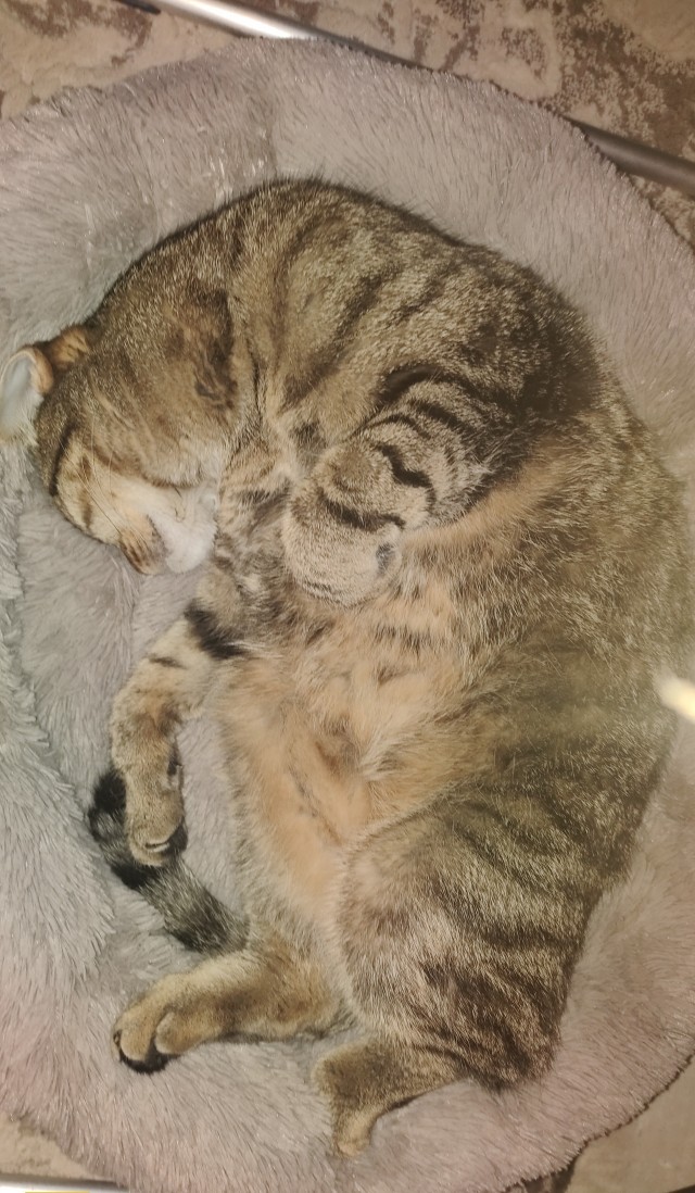 Какой сегодня день недели ?