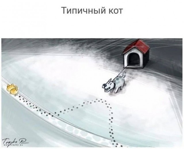 Подборка очень и не очень