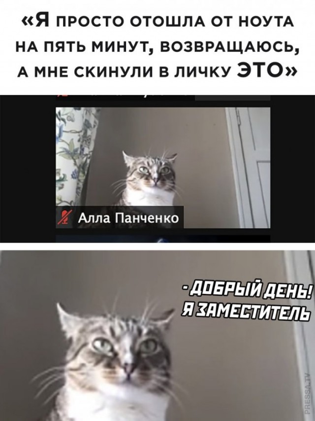Веселые картинки в пятницу (27.03)