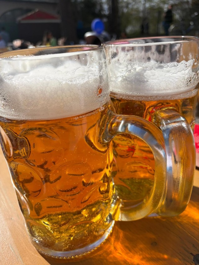 Баварский пивной сад. "Der Biergarten"