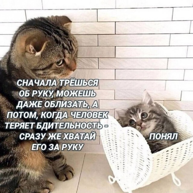 Картиночки, баянчики 20 апреля