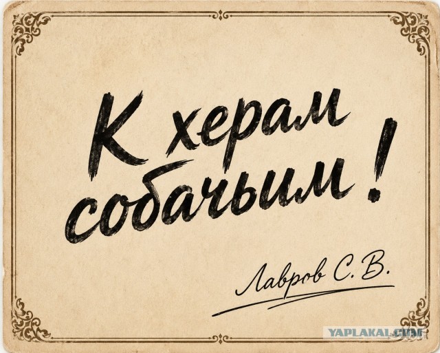«К херам собачим»