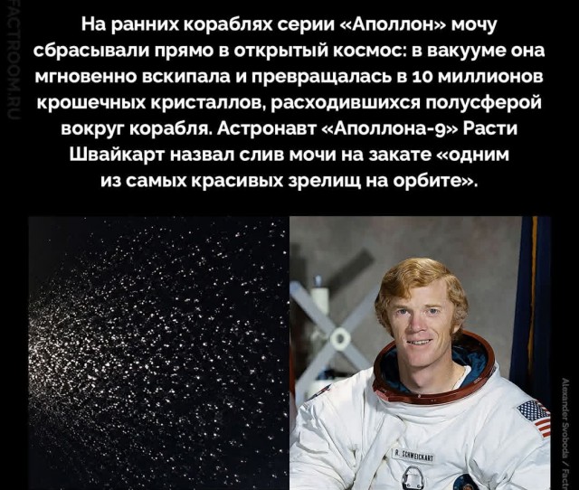Только покойник не ссыт в рукомойник (с)